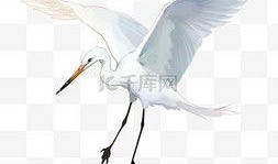 白鹭动漫在线观看,在线观看，畅享青春奇幻之旅